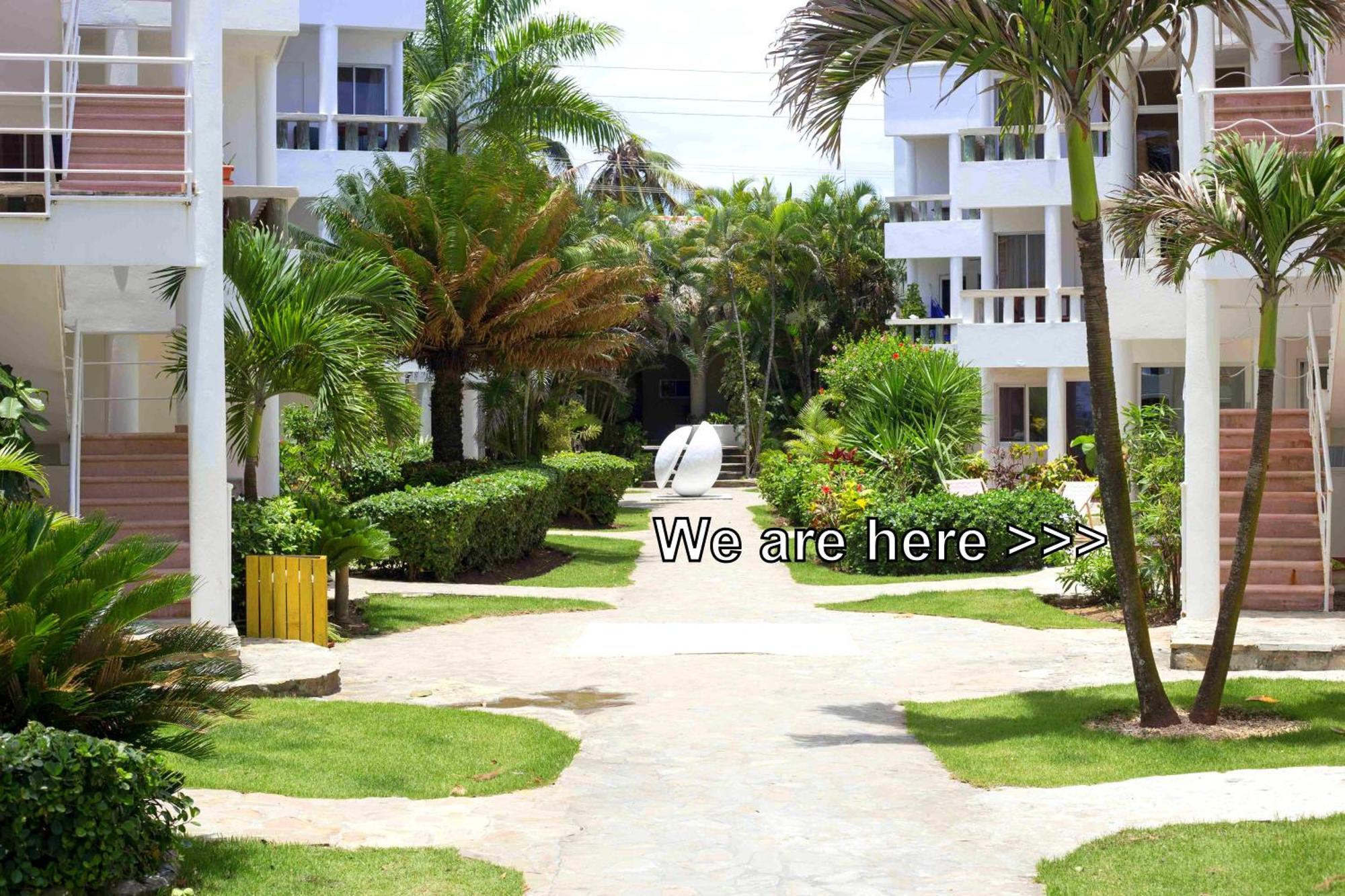 Condo Cabrinha - Direct On Kite Beach Cabarete Oda fotoğraf
