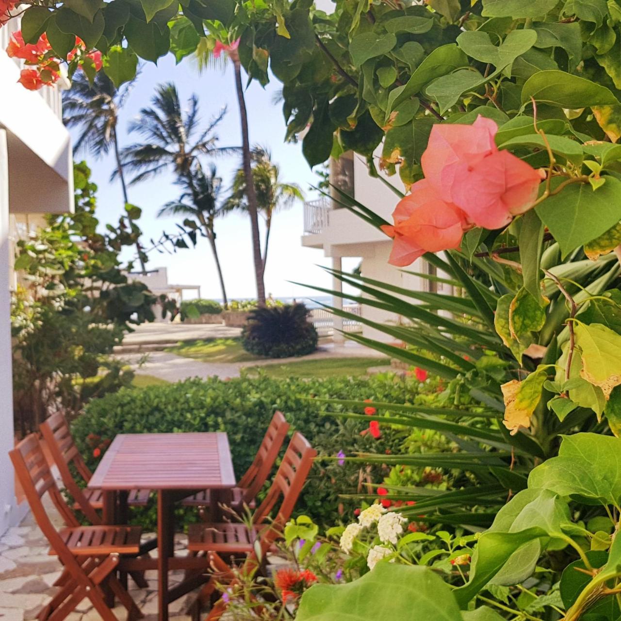Condo Cabrinha - Direct On Kite Beach Cabarete Dış mekan fotoğraf